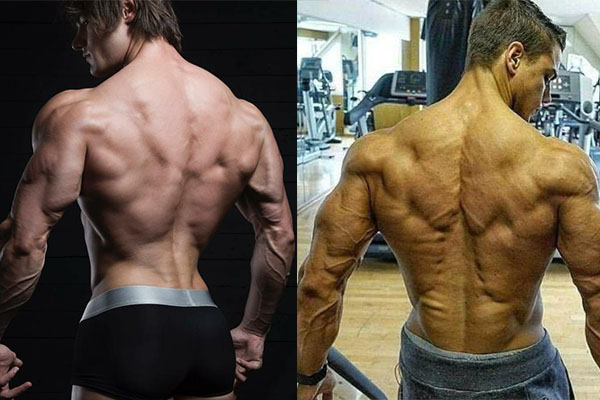 健身除了倒三角，也要让背肌长出圣诞树！