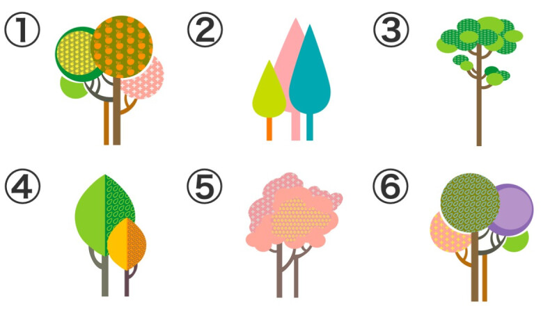 心理测验／你最喜欢哪种树？ 测性格中潜藏的「一见钟情」指数