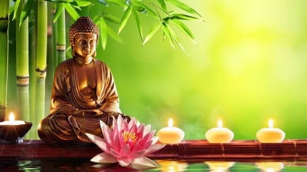 p3065532a299831029-ss (1).jpg