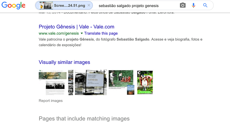 找出是否有人在使用您的图片