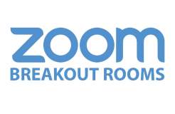 如何在 Zoom 中使用分组讨论