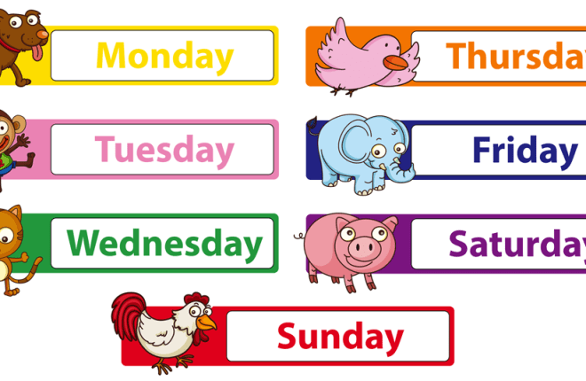 How在线制作抽认卡