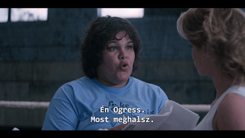 netflix 自定义字幕