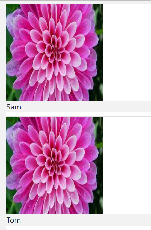 显示从 React 中的 API 获取的用户影像串列，所有 10 个影像都闪烁到每个用户影像，然后第 10 个用户影像保留？