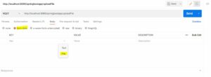 uploading-a-file-and-json-data-in-postman-4.jpg