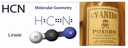 what-is-cyanide-poison-how-dangerous-is-cyanide-poison-picture-1-UMKRs0LCe.jpg